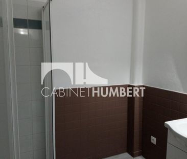 Location Appartement 1 pièce Meublé 44m² ST ETIENNE 42000 - Photo 2