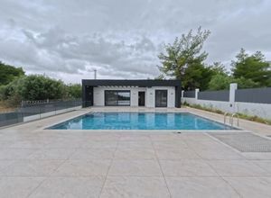 Μονοκατοικία για ενοικίαση - Μαρκόπουλο Ωρωπού, - Φωτογραφία 3