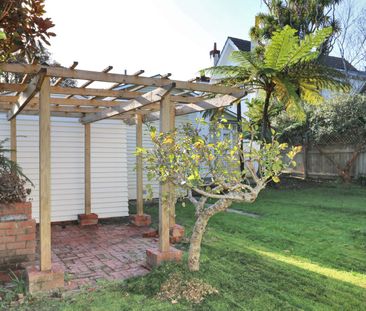 Woburn Beauty - Photo 4