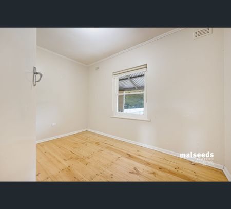 7 Miller Street, Mount Gambier, SA 5290 - Photo 5