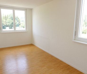 Modern attic apartment on the outskirts of the city - Photo 6