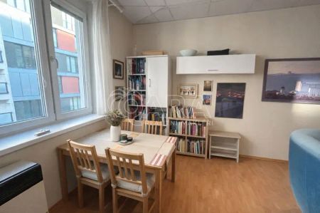 Pronájem bytu 2+1, 46 m - Fotografie 4