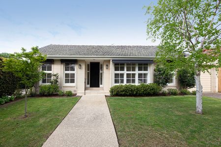 1/16 Brickwood Street, Brighton VIC 3186 - Apartment For Rent | Domain - Photo 4