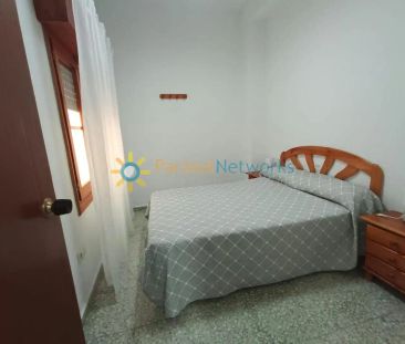 Oliva - Foto 4