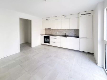 Charmant appartement à Estavayer-le-Lac au coeur d'un écoquartier - Photo 3