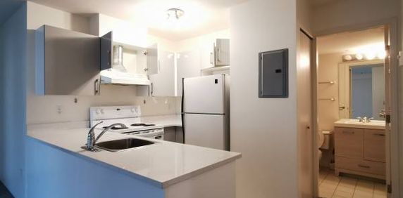 1 bedroom + 1 bathroom (2nd-Floor @8650 Hudson Street) - Photo 2