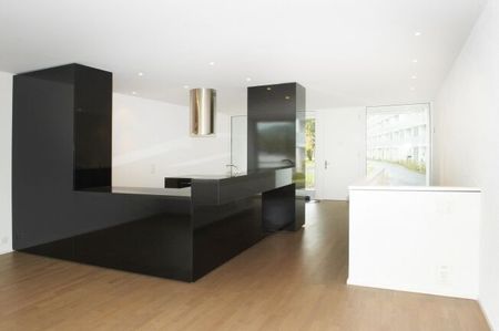 Duplex apartment with view of Lenzburg Castle - Photo 3