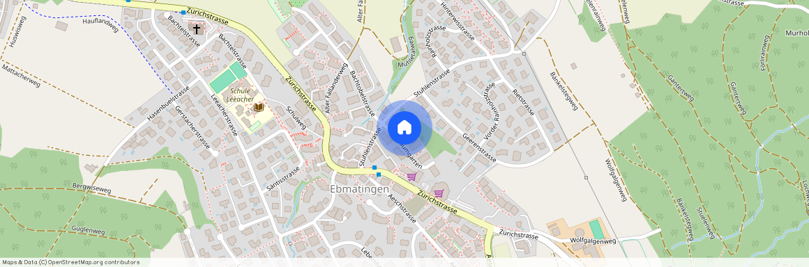 Im Baumgarten 5, 8123, Ebmatingen