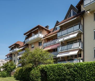 4 ½ Zimmer-Wohnung in Pfäffikon ZH mieten - Photo 1