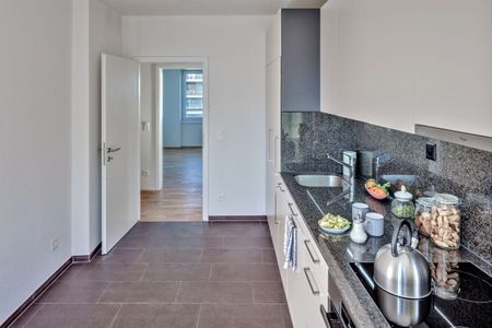 RENT WITHOUT SECURITY DEPOSIT – Elegant Living in Basel - Photo 4