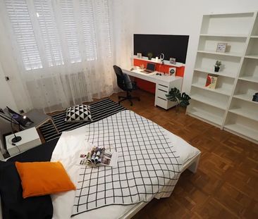 Corso Luigi Einaudi, Turin, Piedmont 10129 - Photo 2