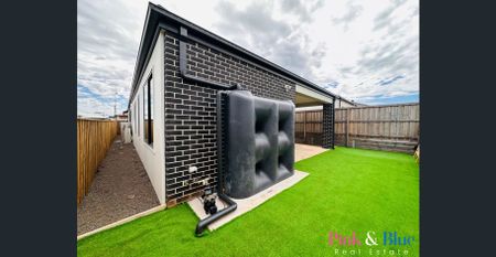 Brand new 4 Bedroom Family Home for Rent! - Photo 5