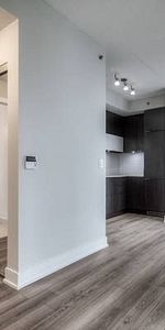 Beautiful One-Bdrm + Den Corner Unit at the Picasso on Richmond - Photo 4