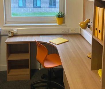 Shared Townhouse Room - Photo 5