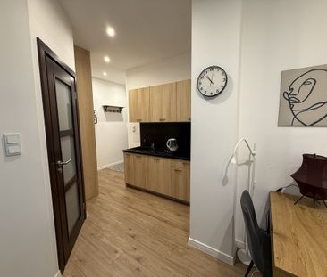 Kraków ul. Botaniczna jednopokojowe do wynajęcia - Photo 4