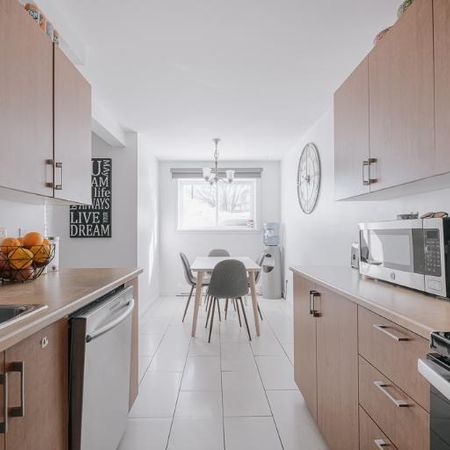 Appartement 5 ½ à louer Lévis juillet 2026 - Photo 4