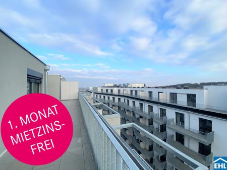 Großzügige 3-Zimmer-Wohnung nahe dem Laaer Wald! - Foto 5