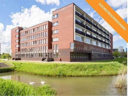 Appartement pour seniors Het Ravelijn 486, Stadshart, Lelystad - À louer - Foto 4