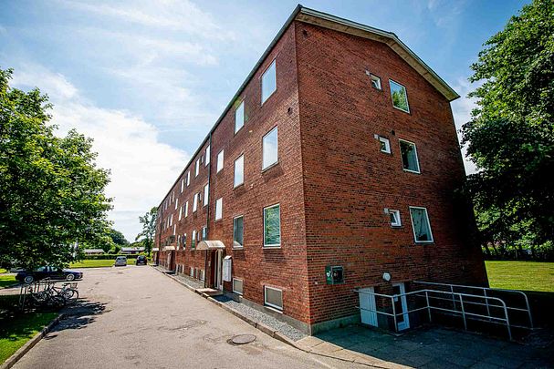 Dammen, 1, st.tv., 6330, Padborg - Photo 1