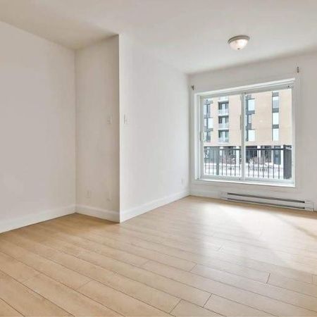 1 CH - 1 SDB - Montréal - $1,295 /mo - Photo 3