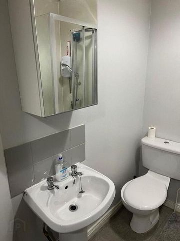 Flat 3, 14 Wellesley Avenue, Belfast, BT9 6DG - Photo 5