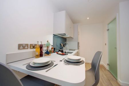 Silver Plus Studio + balcony - Photo 3