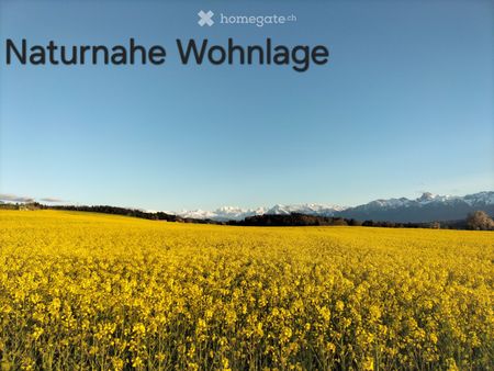 3 Zimmer Dachwohnung - Photo 4