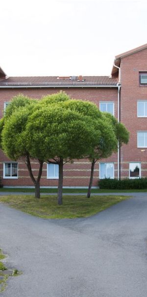 Uppfinnarvägen, Skellefteå - Photo 1