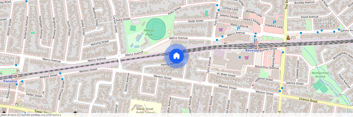 24A & 24B Hendy Avenue, NSW 2213, Panania