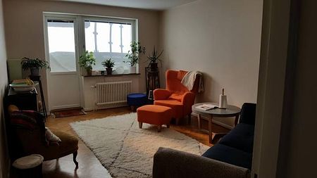 One room apartment in cosy majorna - Foto 2