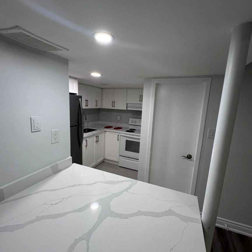 50 Marbury Crescent #Lower - Photo 1