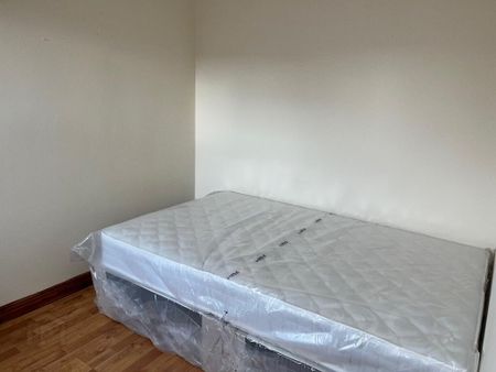 16 Melrose Street, Lisburn Road, Belfast, BT9 7DN - Photo 4