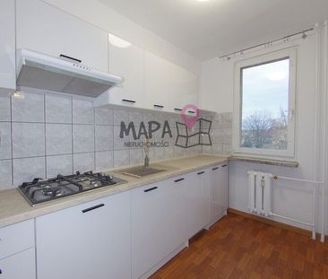 Wynajem, Gumieńce kawalerka z balkonem - Zdjęcie 2