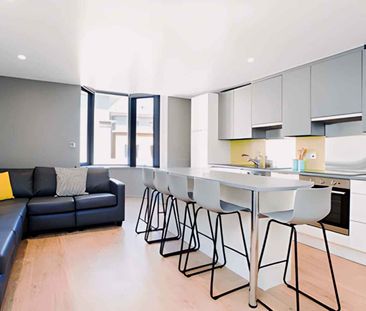 Double Wheelchair Accessible Studio - Photo 6