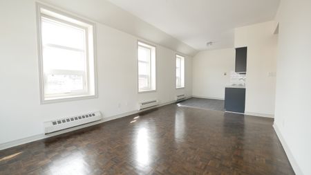 Freshly Renovated, Large, and Bright 1 Bed - Photo 4