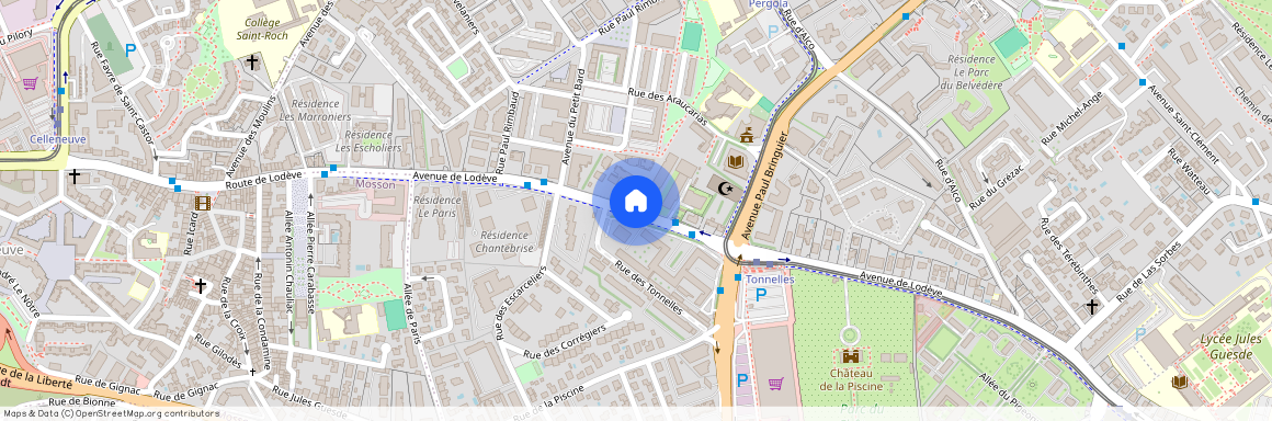 210 Avenue de Lodeve, 34080 Montpellier