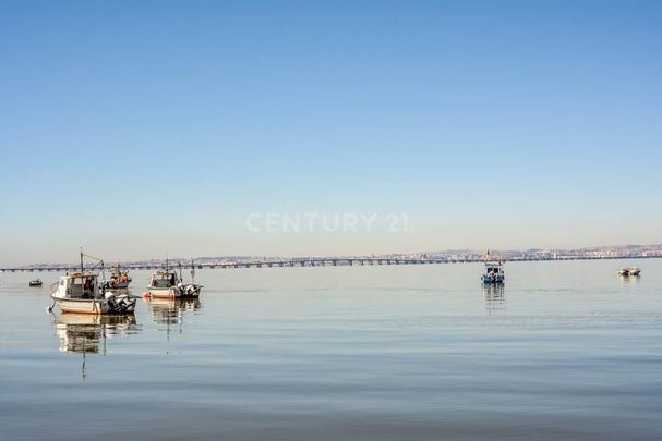 Alcochete, Setubal - Photo 1