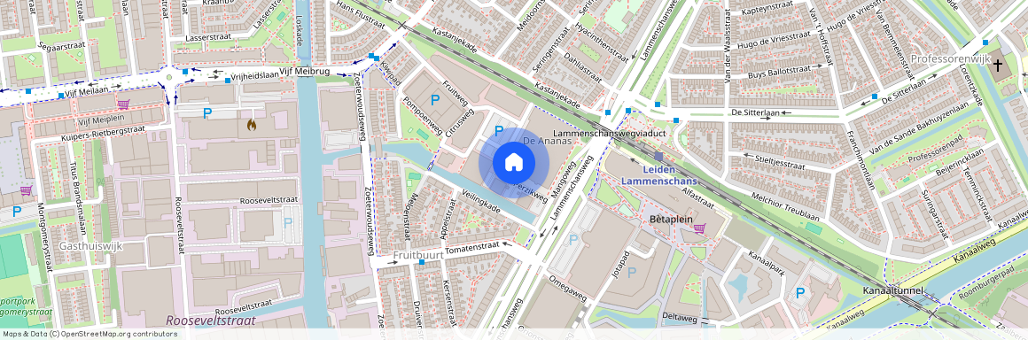 Perzikweg 8, 2321DG, Leiden