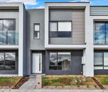 Donnybrook - Photo 6