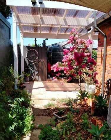 Renovated Retreat with Private Gardens in Central Location. - Photo 5