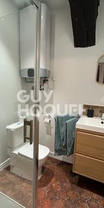 Studio Meublé au Coeur d'Auxerre - Photo 4