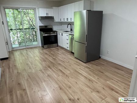 2169, Rue Davidson, Mercier / Hochelaga / Maisonneuve à louer - Photo 4