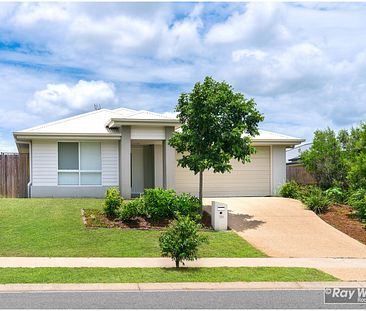 Modern Living in Norman Gardens! - Photo 1