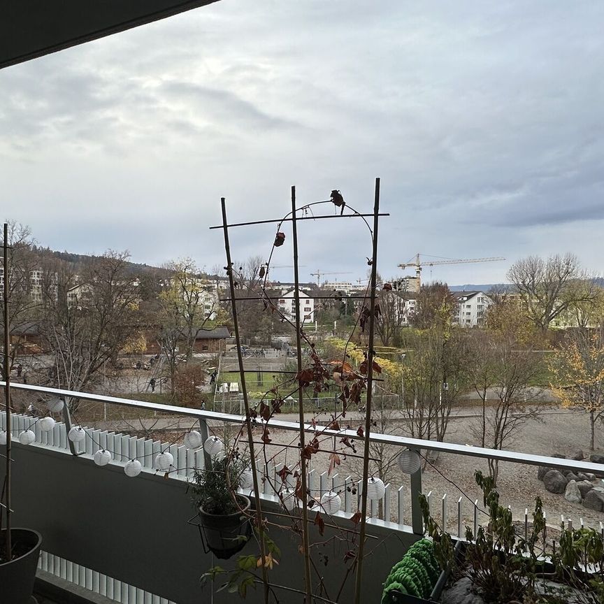 21/2 ZI-WOHNUNG À ZÜRICH - KREIS 9 ALBISRIEDEN, MEUBLÉ, TEMPORAIRE - Foto 1