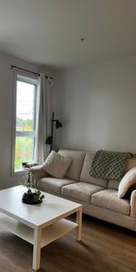 Grand 3 1/2 à louer Beloeil Animaux acceptés - Photo 4