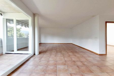 6983, Magliaso - Photo 5