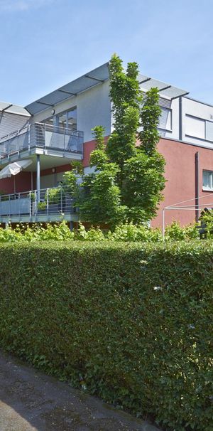 2-Zimmer Wohnung in Grumme - Foto 1