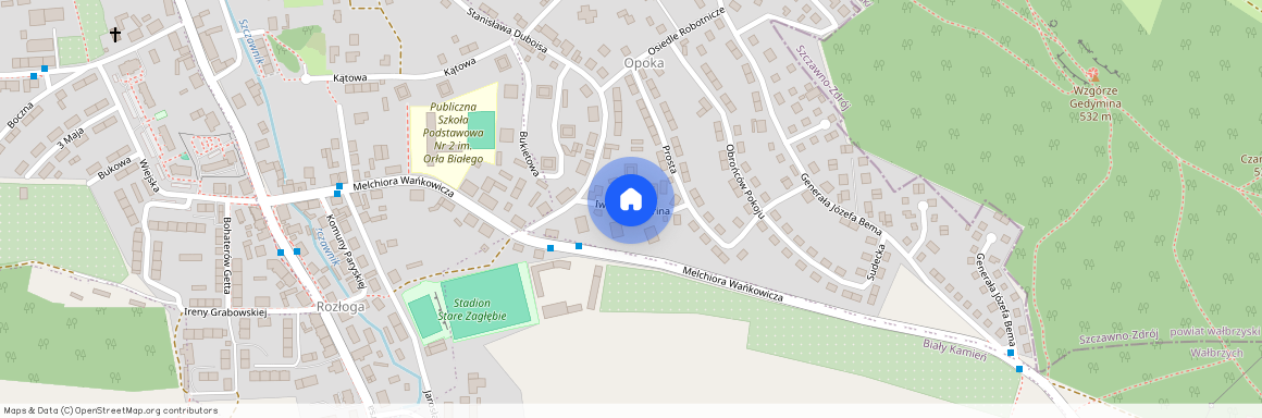 ul. Iwana Miczurina, Opoka, Wałbrzych, dolnośląskie