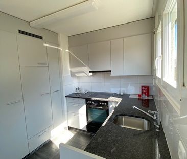 8133 Esslingen - Photo 4