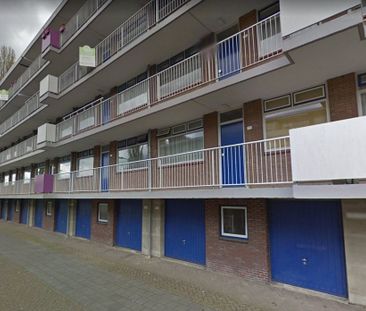 Te huur: Appartement Van Borselenstraat 192 3 in Arnhem - Foto 1